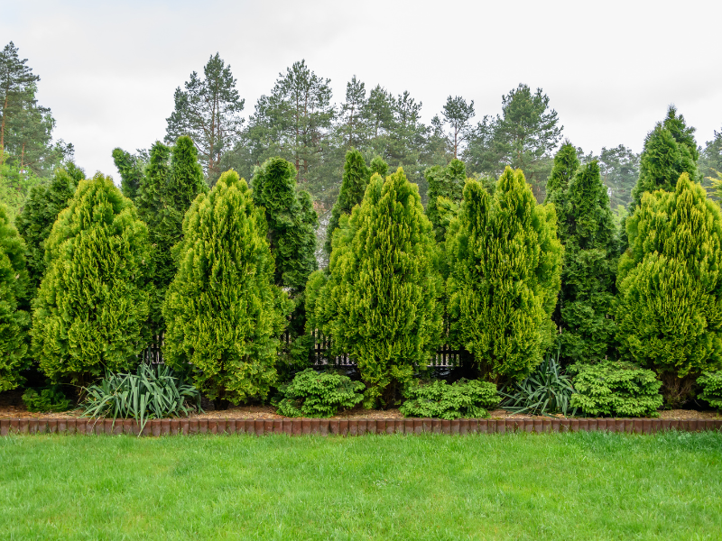 como mantener tu jardin limpio como mantener tu jardin limpio