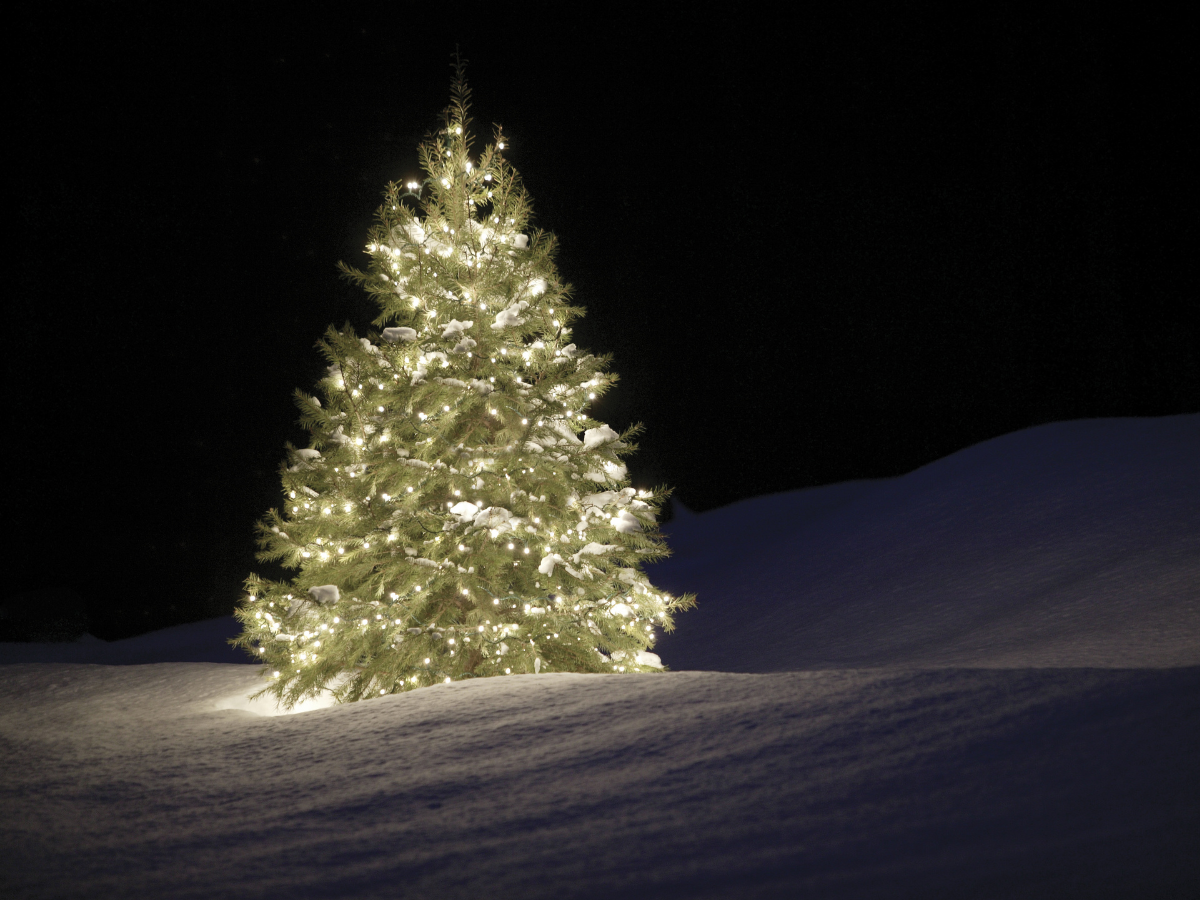 arboles de navidad para decorar portada