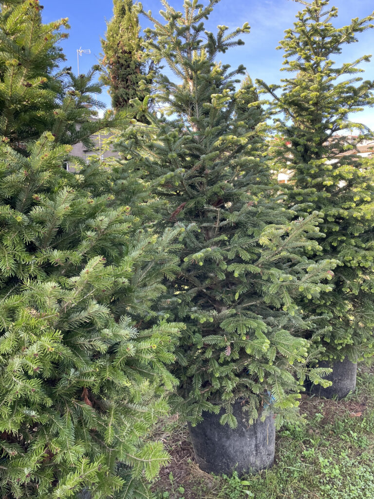 decoracion arbol de navidad arbol