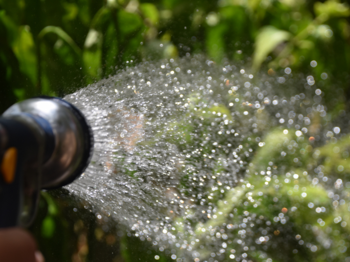 mantener limpio tu jardin riego